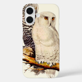  Snowy Owl tekening iPhone 16 Hoesje