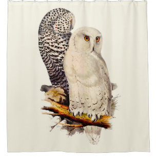 Snowy Owl tekening Douchegordijn