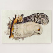  Snowy Owl tekening Legpuzzel (Horizontaal)