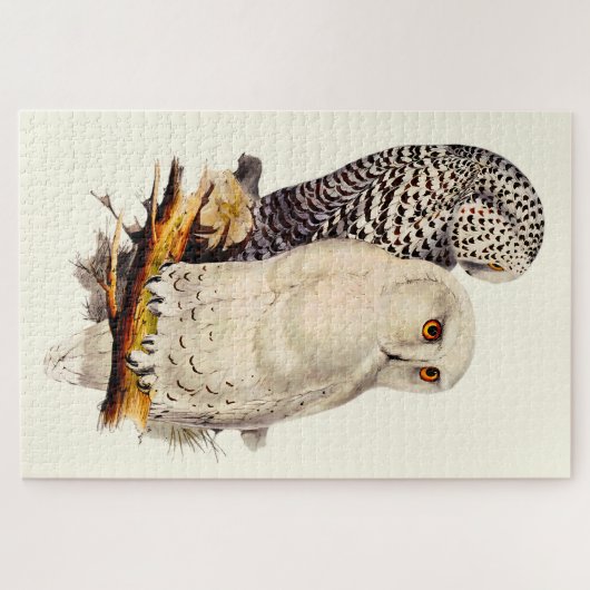  Snowy Owl tekening Legpuzzel (Horizontaal)