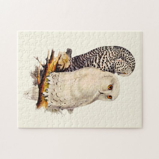 Snowy Owl tekening Legpuzzel (Horizontaal)