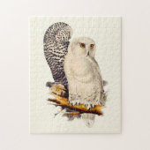 Snowy Owl tekening Legpuzzel (Verticaal)