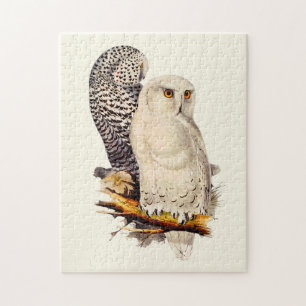  Snowy Owl tekening Legpuzzel