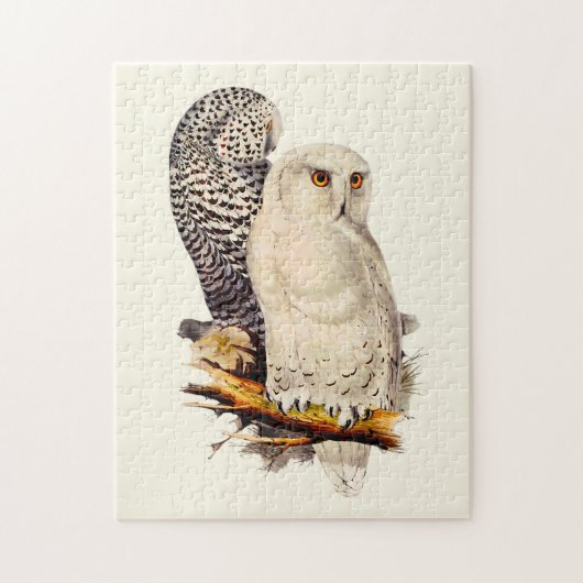  Snowy Owl tekening Legpuzzel (Verticaal)