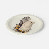 Snowy Owl tekening Papieren Bordje (Gekanteld)