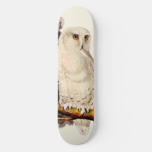  Snowy Owl tekening Persoonlijk Skateboard (Voorkant)