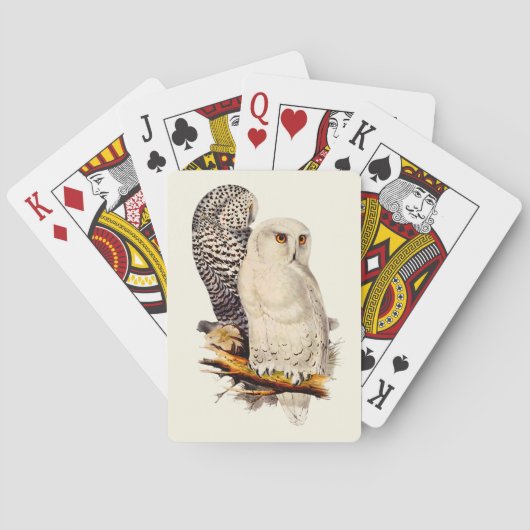  Snowy Owl tekening Pokerkaarten (Achterkant)