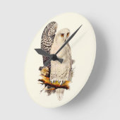  Snowy Owl tekening Ronde Klok (Hoek)