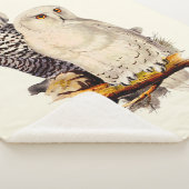 Snowy Owl tekening Sherpa Deken (3/4)