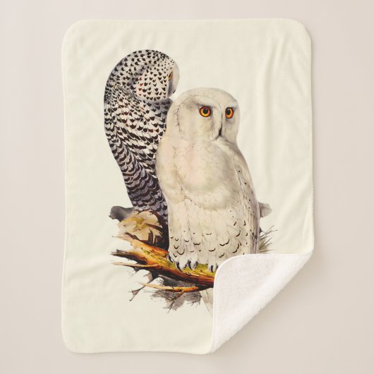 Snowy Owl tekening Sherpa Deken (Voorkant)