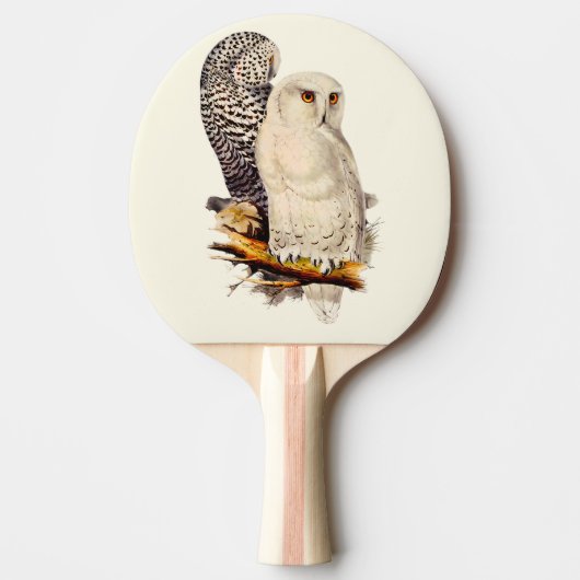 Snowy Owl tekening Tafeltennisbatje (Voorkant)