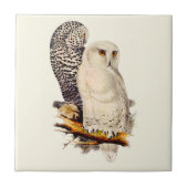  Snowy Owl tekening Tegeltje (Voorkant)