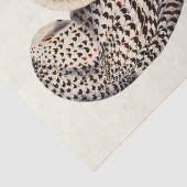 Snowy Owl tekening Tissuepapier (Detail)