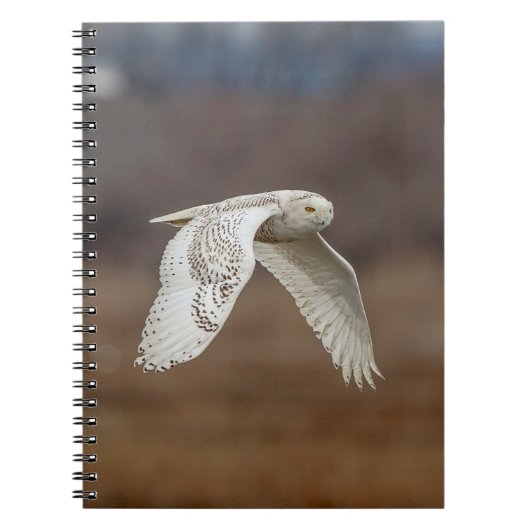 Snowy owl tijdens de vlucht notitieboek (Voorkant)
