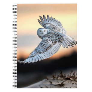 Snowy owl tijdens de vlucht notitieboek