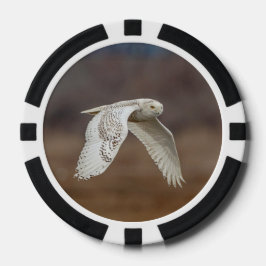 Snowy owl tijdens de vlucht poker chips