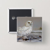 Snowy Owl Vierkante Button 5,1 Cm (Voorkant /achterkant)