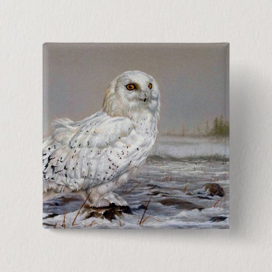 Snowy Owl Vierkante Button 5,1 Cm (Voorkant)