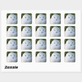 Snowy Owl Vierkante Sticker (Vel)