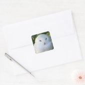 Snowy Owl Vierkante Sticker (Envelop)