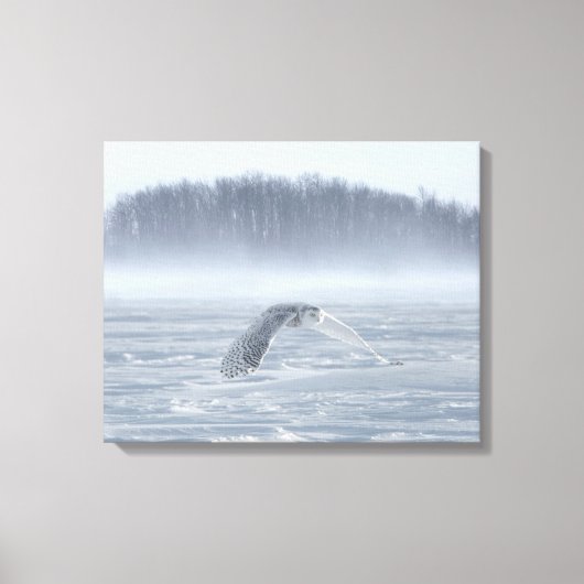 Snowy Owl vliegen in de winter Canvas Afdruk (Voorkant)