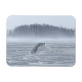 Snowy Owl vliegen in de winter Magneet (Horizontaal)