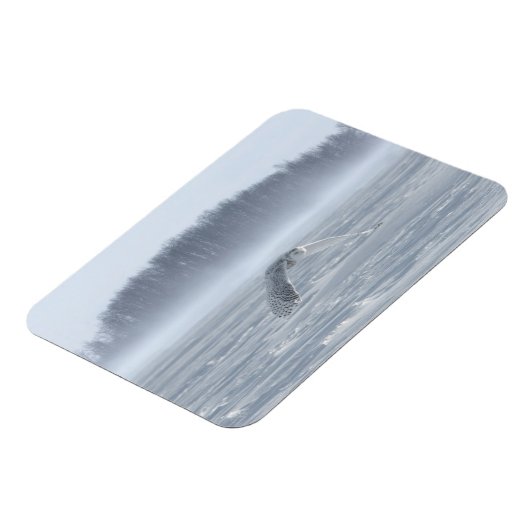 Snowy Owl vliegen in de winter Magneet (Linkerzijde)