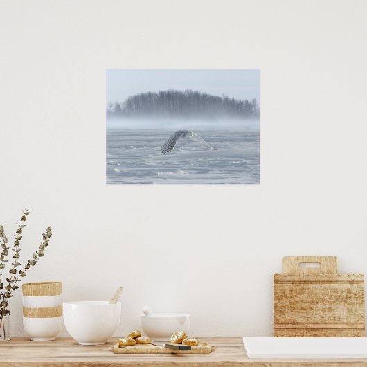 Snowy Owl vliegen in de winter Poster (Keuken)