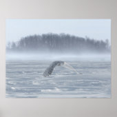 Snowy Owl vliegen in de winter Poster (Voorkant)