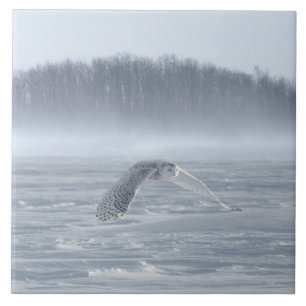 Snowy Owl vliegen in de winter Tegeltje
