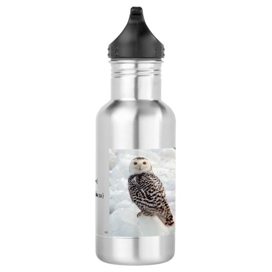 Snowy Owl waterfles (Rechts)