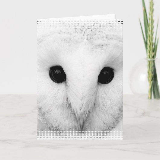 Snowy Owl Wenskaart Kaart (Voorkant)