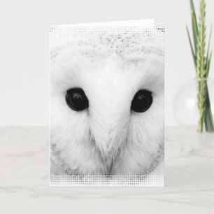 Snowy Owl Wenskaart Kaart