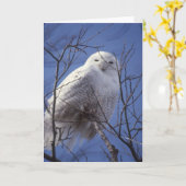 Snowy Owl - White Bird against a Sapphire Blue Sky Kaart (Gele Bloem)