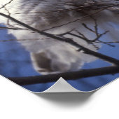 Snowy Owl - White Bird against a Sapphire Blue Sky Poster (Hoek)