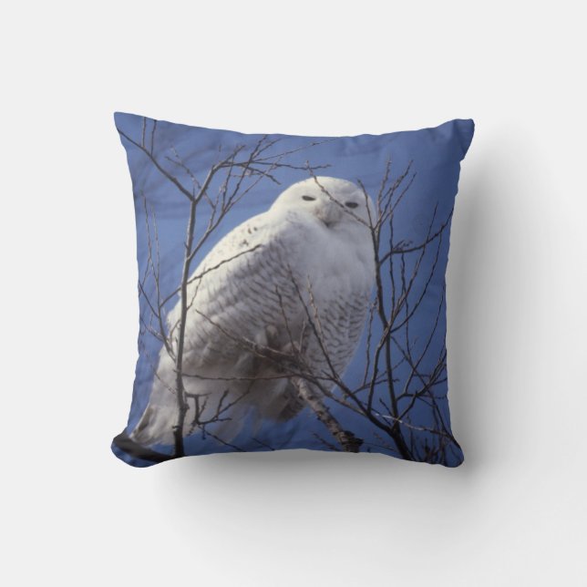Snowy Owl, White Bird tegen een Sapphire Blue Sky Kussen (Voorkant)