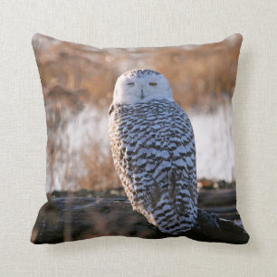 Snowy Owl Winking Kussen