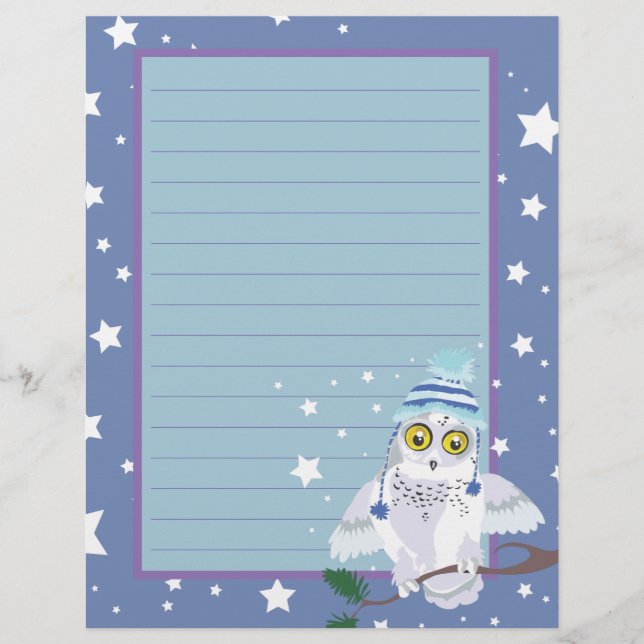 Snowy Owl~winter nacht (Voorkant)