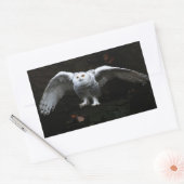 Snowy Owl with Open Wings stcn Rechthoekige Sticker (Envelop)