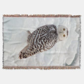 Snowy Owl woven deken (Voorkant)
