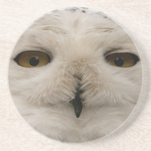 Snowy Owl Zandsteen Onderzetter
