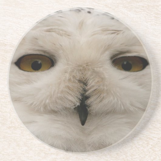 Snowy Owl Zandsteen Onderzetter (Voorkant)