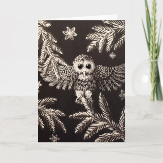 Snowy Owlet Christmas Kaart