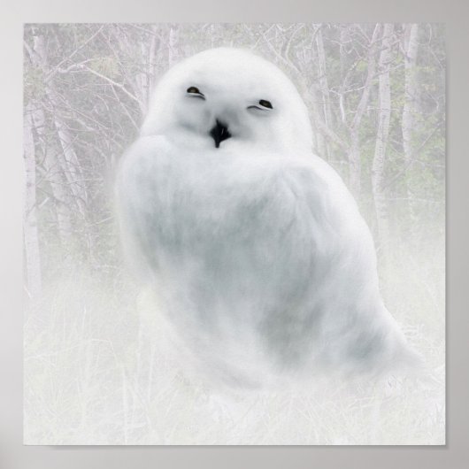 Snowy Owlet Poster (Voorkant)