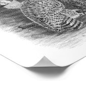 Snowy Owls Black & White Tekening Poster (Hoek)