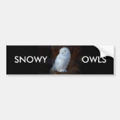 SNOWY OWLS - bumpersticker (Voorkant)