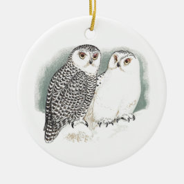 Snowy Owls Keramisch Ornament