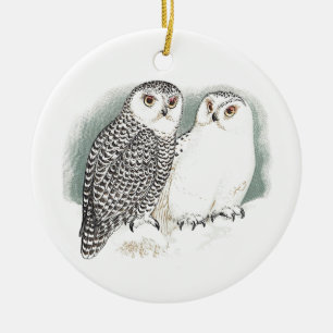Snowy Owls Keramisch Ornament