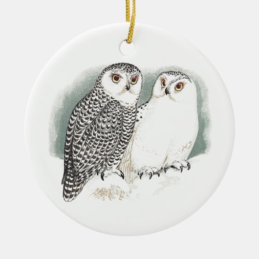 Snowy Owls Keramisch Ornament (Voorkant)