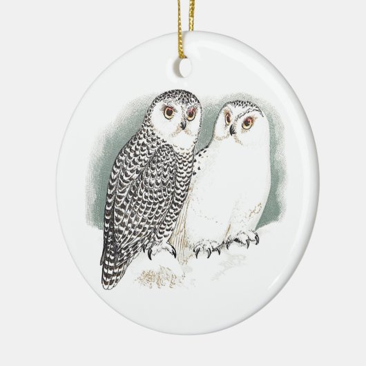 Snowy Owls Keramisch Ornament (Links)